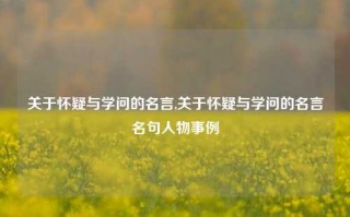 关于怀疑与学问的名言,关于怀疑与学问的名言名句人物事例