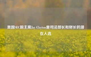 美国SEC前主席Jay Clayton是司法部长和财长的潜在人选