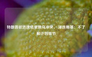 特朗普欲迅速结束俄乌冲突， 泽连斯基：不了解计划细节