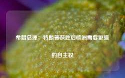 希腊总理：特朗普获胜后欧洲需要更强的自主权