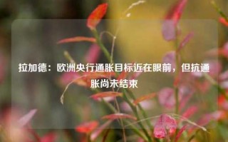 拉加德：欧洲央行通胀目标近在眼前，但抗通胀尚未结束