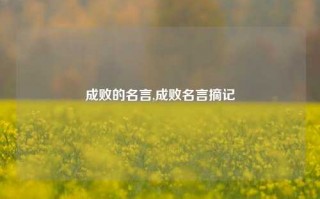 成败的名言,成败名言摘记