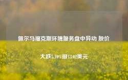 佩尔马福克斯环境服务盘中异动 股价大跌5.10%报13.02美元