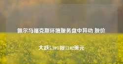 佩尔马福克斯环境服务盘中异动 股价大跌5.10%报13.02美元