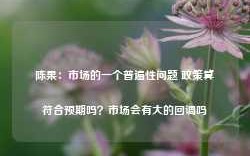 陈果：市场的一个普遍性问题 政策算符合预期吗？市场会有大的回调吗