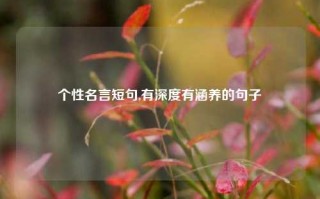 个性名言短句,有深度有涵养的句子