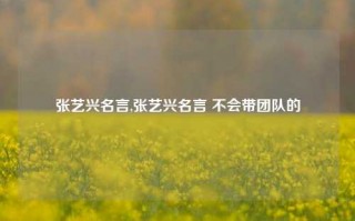 张艺兴名言,张艺兴名言 不会带团队的