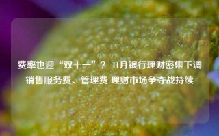 费率也迎“双十一”？ 11月银行理财密集下调销售服务费、管理费 理财市场争夺战持续