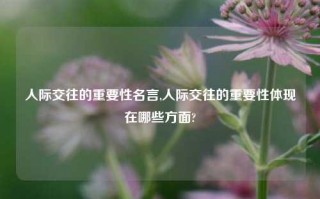 人际交往的重要性名言,人际交往的重要性体现在哪些方面?