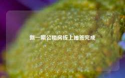 新一期公租房线上抽签完成