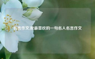 名言作文,我最喜欢的一句名人名言作文