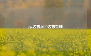 jojo名言,JOJO名言哲理