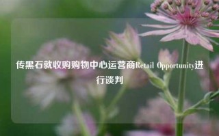 传黑石就收购购物中心运营商Retail Opportunity进行谈判