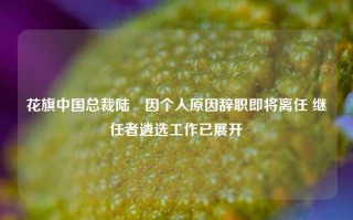 花旗中国总裁陆烜因个人原因辞职即将离任 继任者遴选工作已展开