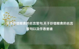 关于珍惜粮食的名言警句,关于珍惜粮食的名言警句以及作者是谁