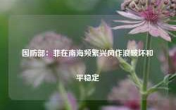 国防部：菲在南海频繁兴风作浪破坏和平稳定