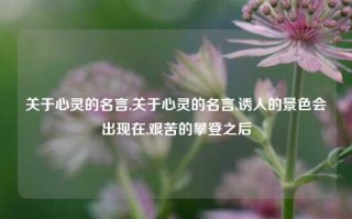 关于心灵的名言,关于心灵的名言,诱人的景色会出现在,艰苦的攀登之后