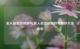 名人名言好词好句,名人名言好词好句摘抄大全高中