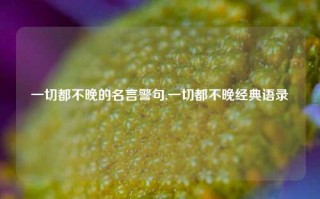 一切都不晚的名言警句,一切都不晚经典语录