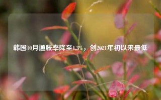 韩国10月通胀率降至1.3%，创2021年初以来最低