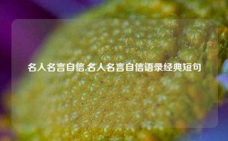 名人名言自信,名人名言自信语录经典短句