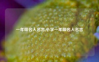 一年级名人名言,小学一年级名人名言