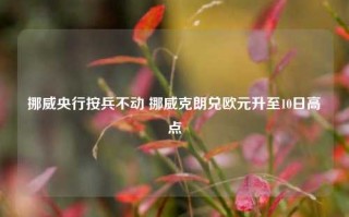 挪威央行按兵不动 挪威克朗兑欧元升至10日高点