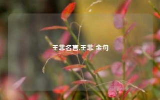 王菲名言,王菲 金句