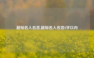 超短名人名言,超短名人名言8字以内