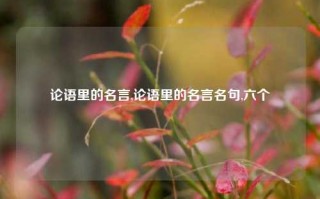 论语里的名言,论语里的名言名句,六个