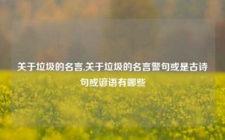 关于垃圾的名言,关于垃圾的名言警句或是古诗句或谚语有哪些