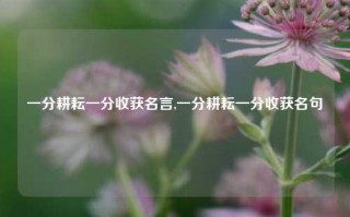 一分耕耘一分收获名言,一分耕耘一分收获名句