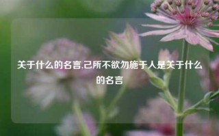 关于什么的名言,己所不欲勿施于人是关于什么的名言