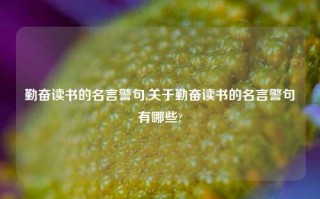 勤奋读书的名言警句,关于勤奋读书的名言警句有哪些?