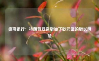 德商银行：特朗普胜选增加了欧元区的增长风险