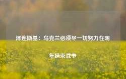 泽连斯基：乌克兰必须尽一切努力在明年结束战争