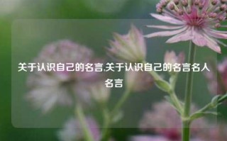 关于认识自己的名言,关于认识自己的名言名人名言