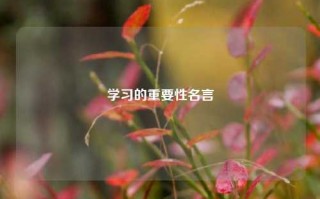 学习的重要性名言