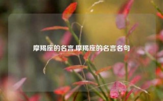 摩羯座的名言,摩羯座的名言名句