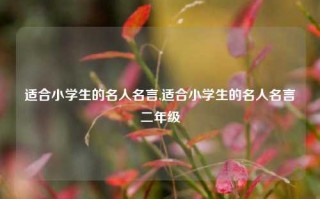 适合小学生的名人名言,适合小学生的名人名言二年级