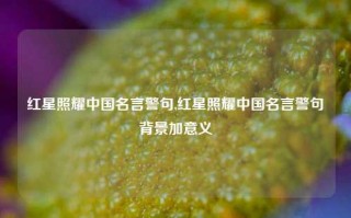 红星照耀中国名言警句,红星照耀中国名言警句背景加意义