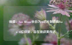 报道：Sam Altman亲自为AI芯片制造商Rain AI拉投资，旨在挑战英伟达