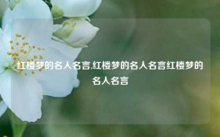 红楼梦的名人名言,红楼梦的名人名言红楼梦的名人名言