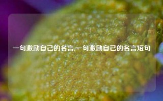 一句激励自己的名言,一句激励自己的名言短句