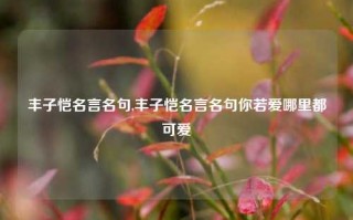 丰子恺名言名句,丰子恺名言名句你若爱哪里都可爱