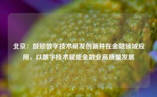 北京：鼓励数字技术研发创新并在金融领域应用，以数字技术赋能金融业高质量发展