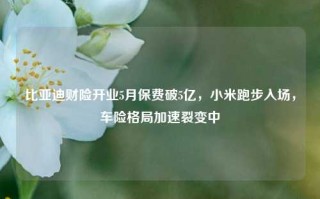 比亚迪财险开业5月保费破5亿，小米跑步入场，车险格局加速裂变中