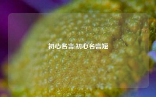 初心名言,初心名言短