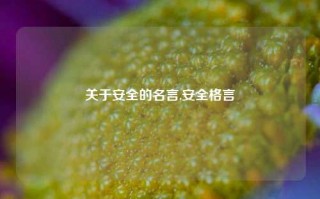 关于安全的名言,安全格言