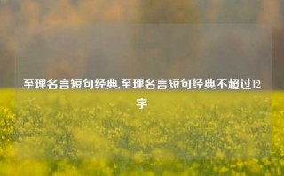 至理名言短句经典,至理名言短句经典不超过12字